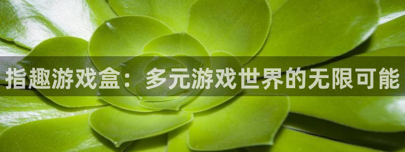 九游会j9