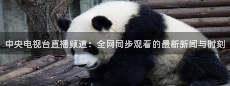 熊猫体育足球直播在线观看：中央电视台直播频道：全网同步观看的最新新闻与时刻