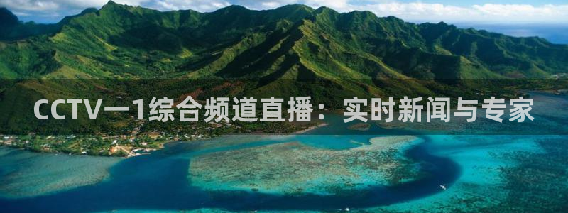 直播 熊猫：CCTV一1综合频道直播：实时新闻与专家