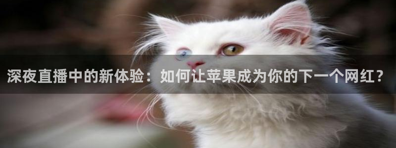 熊猫体育直播：深夜直播中的新体验：如何让苹果成为你的下一个网红？