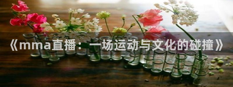 熊猫体育app下载：《mma直播：一场运动与文化的碰撞》