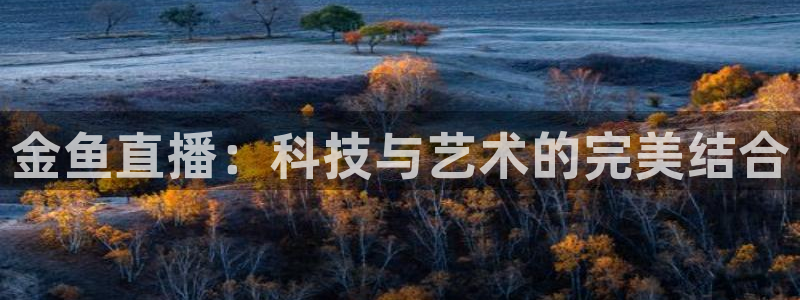 熊猫在线直播：金鱼直播：科技与艺术的完美结合