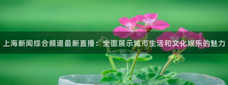 熊猫主播：上海新闻综合频道最新直播：全面展示城市生活和文化娱乐的魅力