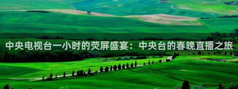熊猫直播平台：中央电视台一小时的荧屏盛宴：中央台的春晚直播之旅