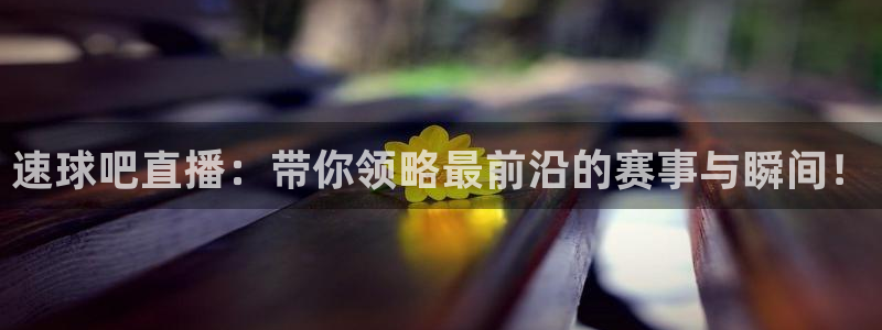 熊猫的歌曲：速球吧直播：带你领略最前沿的赛事与瞬间！