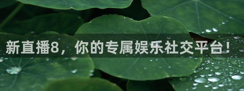 中山熊猫体育：新直播8，你的专属娱乐社交平台！