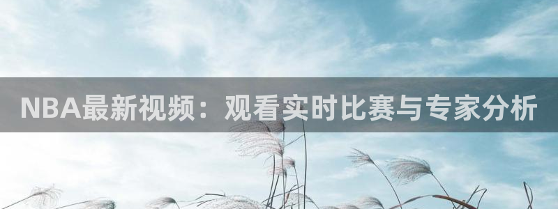 熊猫高清直播：NBA最新视频：观看实时比赛与专家分析