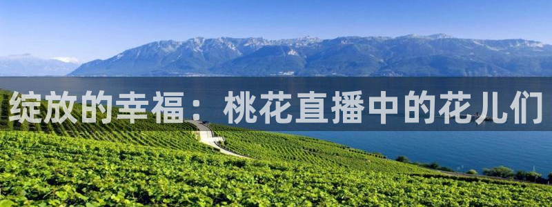 熊猫体育直播新的好游戏.认证网.org：绽放的幸福：桃花直播中的花儿们